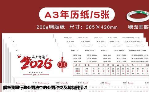 解析我国行政处罚法中的处罚种类及其特例探讨