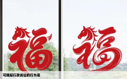 可提起行政诉讼的行为是