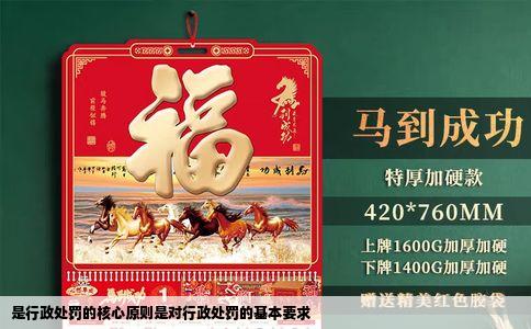 是行政处罚的核心原则是对行政处罚的基本要求