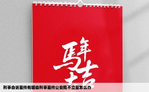 刑事自诉案件有哪些刑事案件公安局不立案怎么办