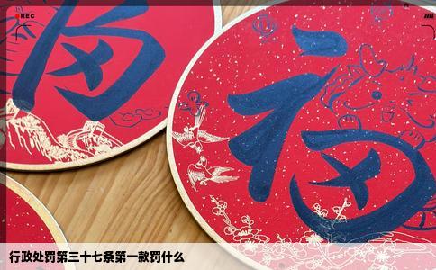 行政处罚第三十七条第一款罚什么