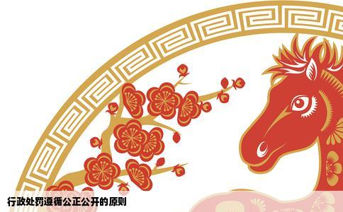 行政处罚遵循公正公开的原则