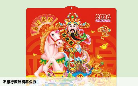 不服行政处罚怎么办