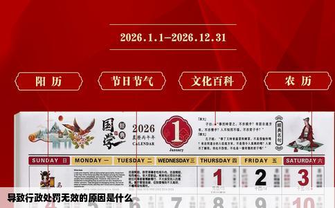 导致行政处罚无效的原因是什么