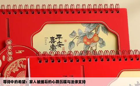 等待中的希望：家人被捕后的心路历程与法律支持
