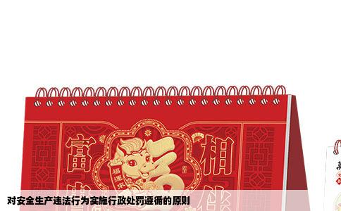 对安全生产违法行为实施行政处罚遵循的原则