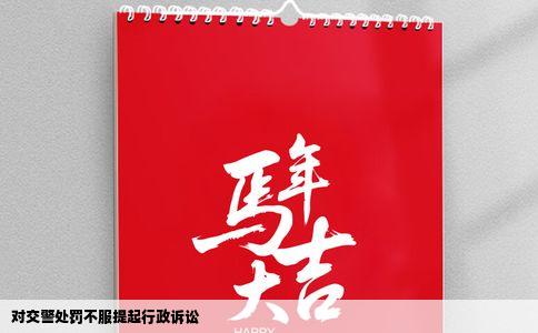 对交警处罚不服提起行政诉讼