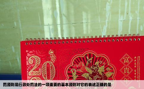 罚原则是行政处罚法的一项重要的基本原则对它的表述正确的是