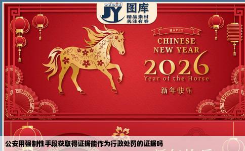 公安用强制性手段获取得证据能作为行政处罚的证据吗