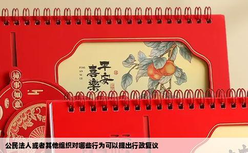 公民法人或者其他组织对哪些行为可以提出行政复议