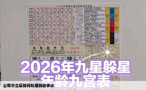 公司分立后如何处理劳动争议