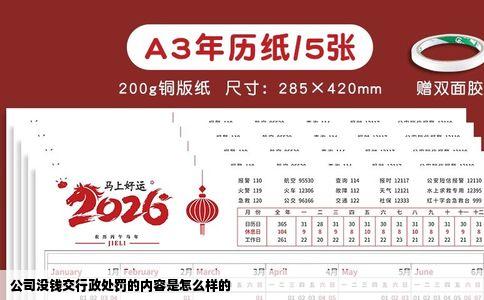 公司没钱交行政处罚的内容是怎么样的