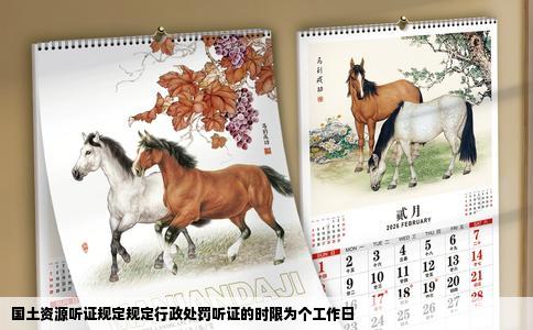 国土资源听证规定规定行政处罚听证的时限为个工作日