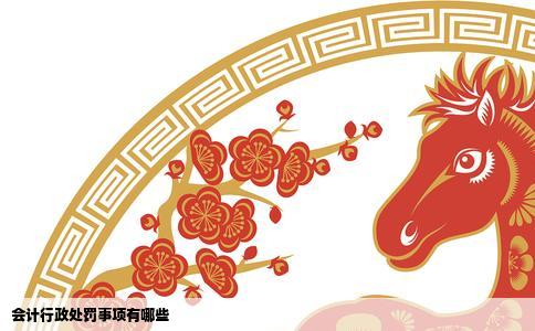会计行政处罚事项有哪些