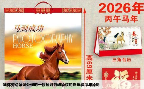 集体劳动争议处理的一般原则劳动争议的处理程序与原则