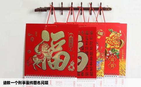 请教一个刑事案件罪名问题