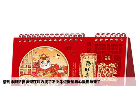 请刑事辩护律师现在对方找了不少牛证据望着心里都急死了