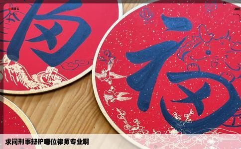 求问刑事辩护哪位律师专业啊