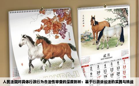 人民法院对具体行政行为合法性审查的深度剖析：基于行政诉讼法的实践与挑战