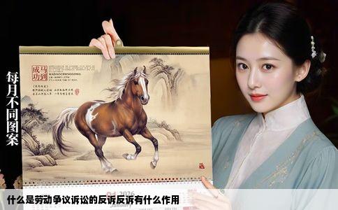 什么是劳动争议诉讼的反诉反诉有什么作用