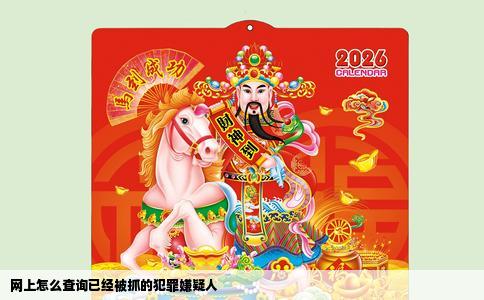 网上怎么查询已经被抓的犯罪嫌疑人