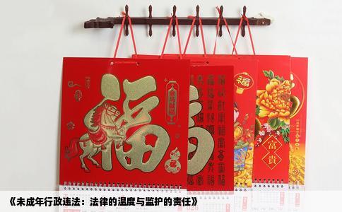 《未成年行政违法：法律的温度与监护的责任》