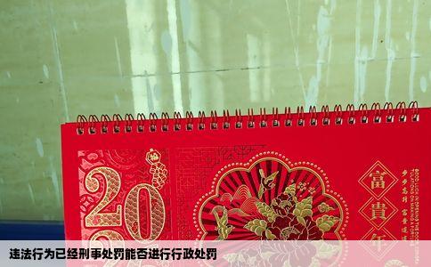 违法行为已经刑事处罚能否进行行政处罚