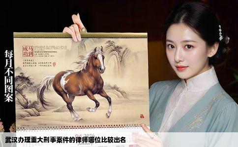 武汉办理重大刑事案件的律师哪位比较出名