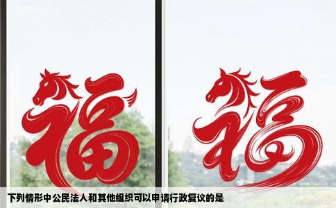 下列情形中公民法人和其他组织可以申请行政复议的是