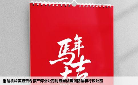 消防机构实施责令停产停业处罚时应当依据消防法和行政处罚