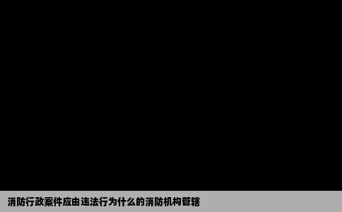 消防行政案件应由违法行为什么的消防机构管辖
