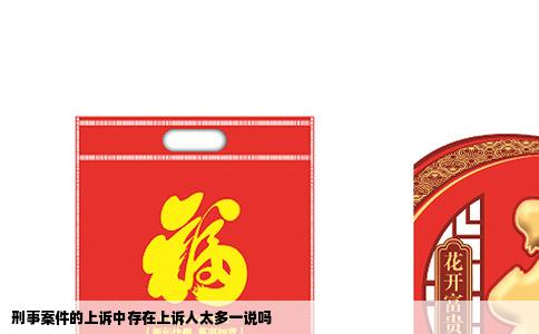 刑事案件的上诉中存在上诉人太多一说吗