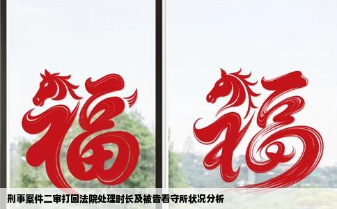 刑事案件二审打回法院处理时长及被告看守所状况分析