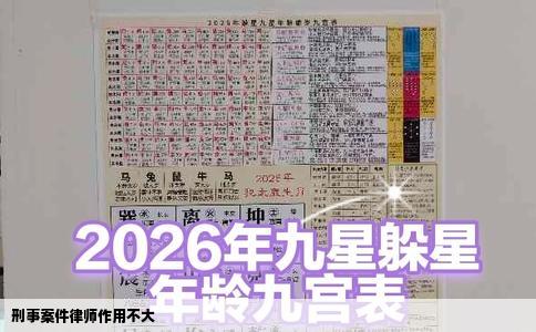 刑事案件律师作用不大