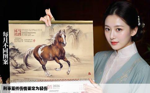 刑事案件伤情鉴定为轻伤