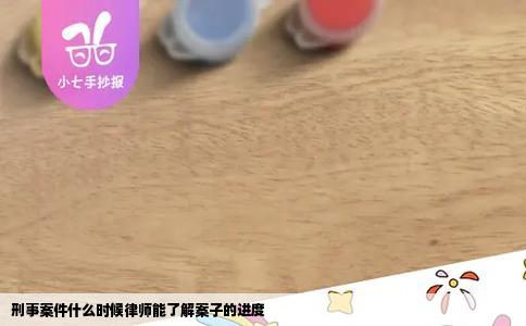 刑事案件什么时候律师能了解案子的进度