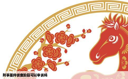 刑事案件侦查阶段可以申诉吗