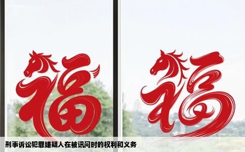 刑事诉讼犯罪嫌疑人在被讯问时的权利和义务