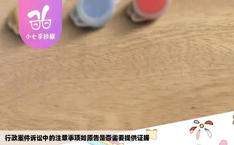 行政案件诉讼中的注意事项如原告是否需要提供证据