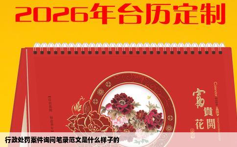 行政处罚案件询问笔录范文是什么样子的