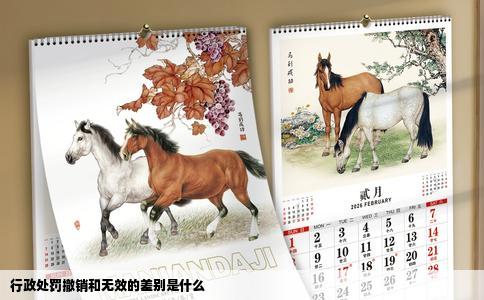 行政处罚撤销和无效的差别是什么