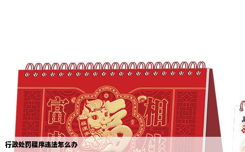 行政处罚程序违法怎么办
