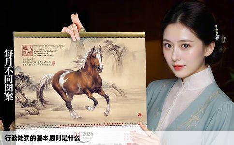 行政处罚的基本原则是什么