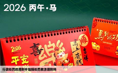 行政处罚的原则中包括处罚救济原则吗