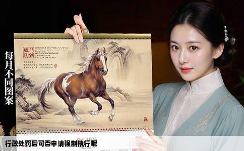 行政处罚后可否申请强制执行呢