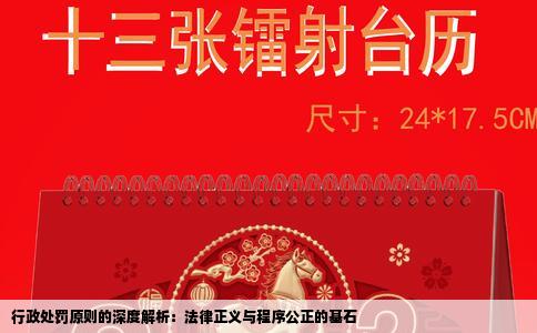 行政处罚原则的深度解析：法律正义与程序公正的基石