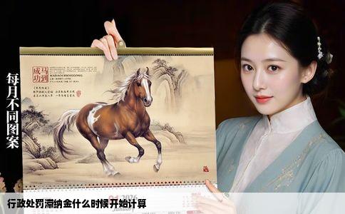 行政处罚滞纳金什么时候开始计算