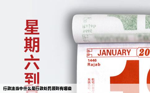 行政法当中什么是行政处罚原则有哪些
