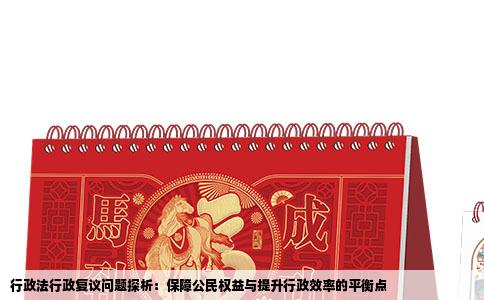 行政法行政复议问题探析：保障公民权益与提升行政效率的平衡点