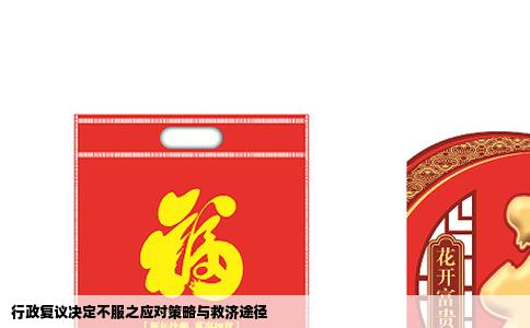 行政复议决定不服之应对策略与救济途径